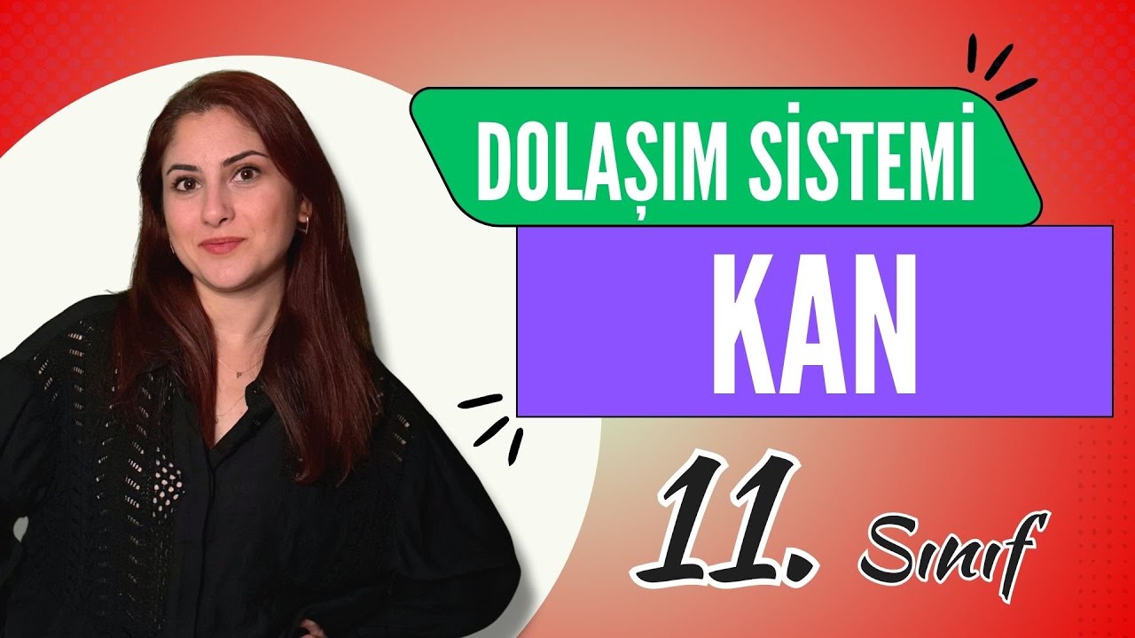 20) KAN ERİTROSİT LENFOSİT LÖKOSİT - DOLAŞIM SİSTEMİ 4 | 11. SINIF | AYT BİYOLOJİ DERS NOTLARI 2024