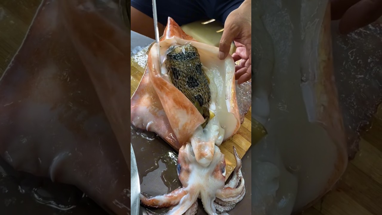Gutting a Squid and Discovering a Porcupine Fish Inside! | Catch & Cook Seafood Surprise