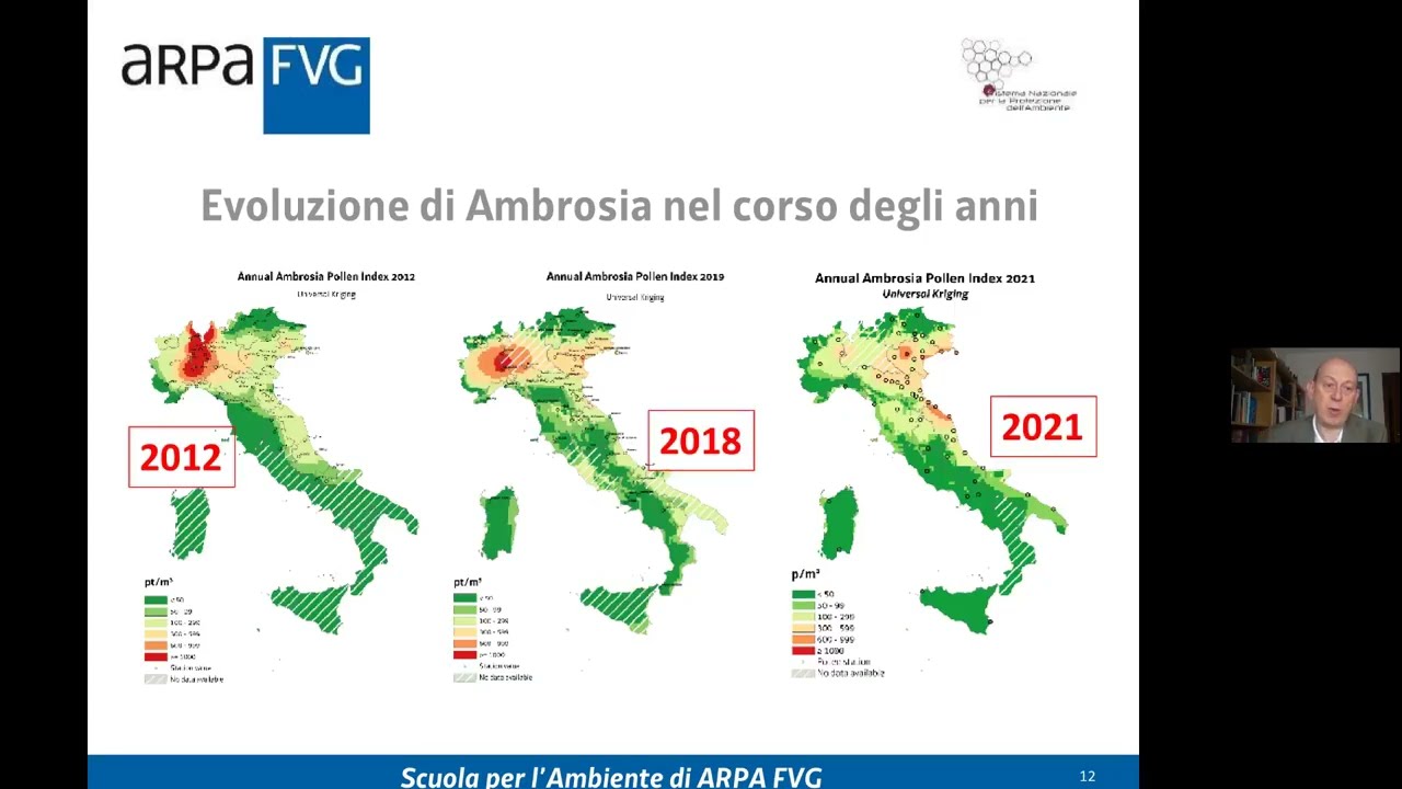 Pollini e cambiamenti climatici in ambiente urbano