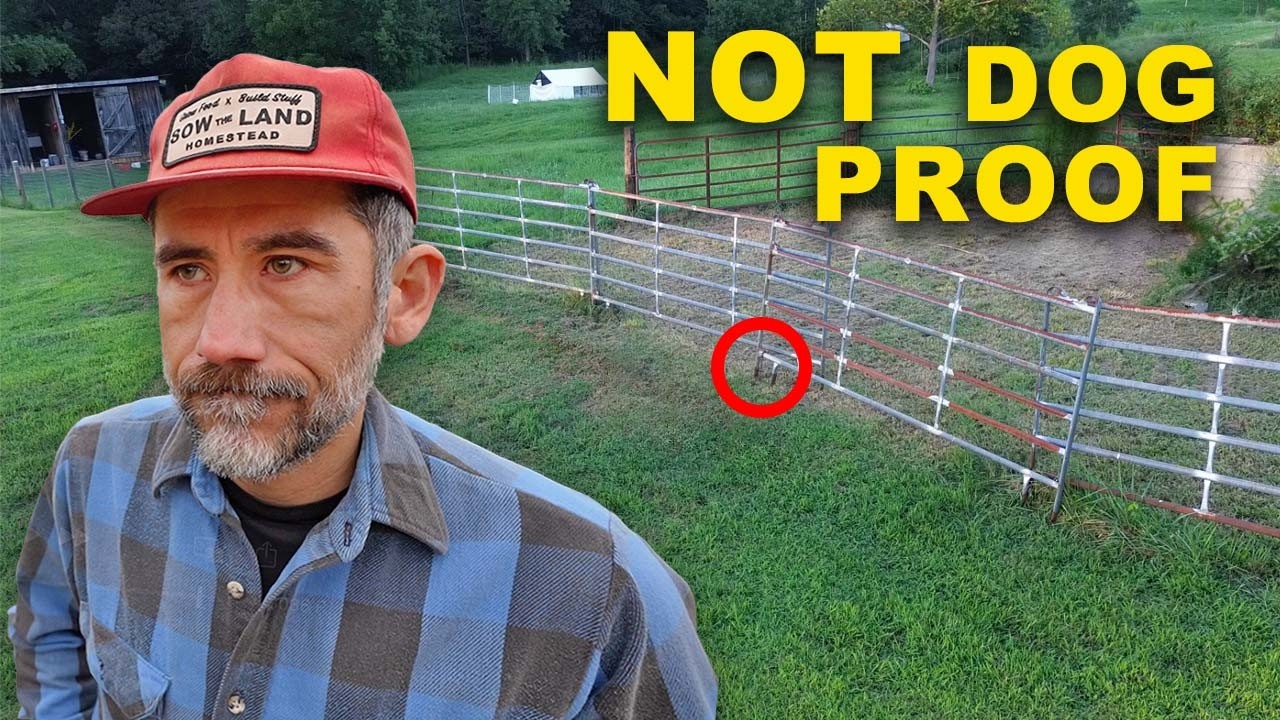 Dog Proof Your Farm Property with Updated Farm Gate