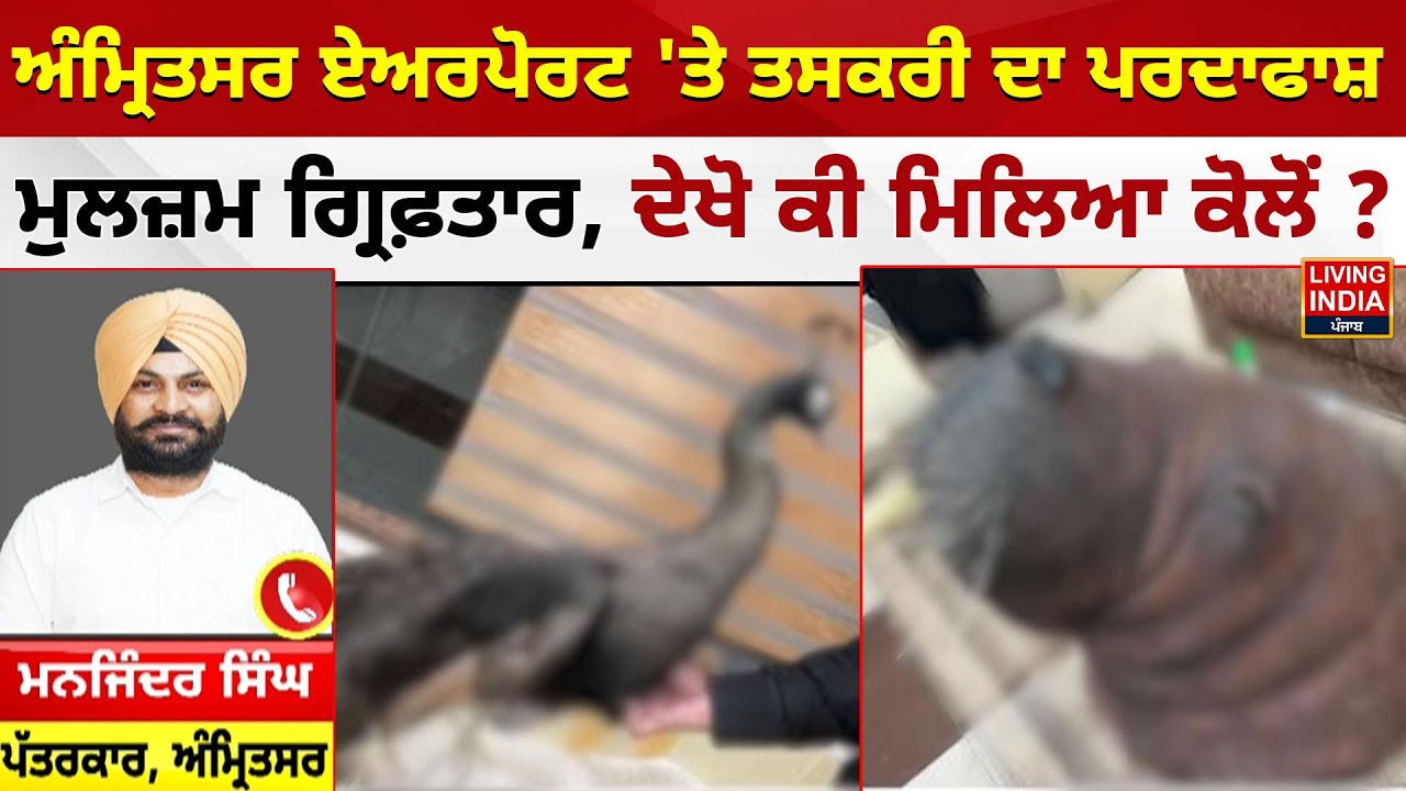 Amritsar airport 'ਤੇ ਤਸਕਰੀ ਦਾ ਪਰਦਾਫਾਸ਼ ਮੁਲਜ਼ਮ ਗ੍ਰਿਫ਼ਤਾਰ | Punjab Police | Accused | Arrest