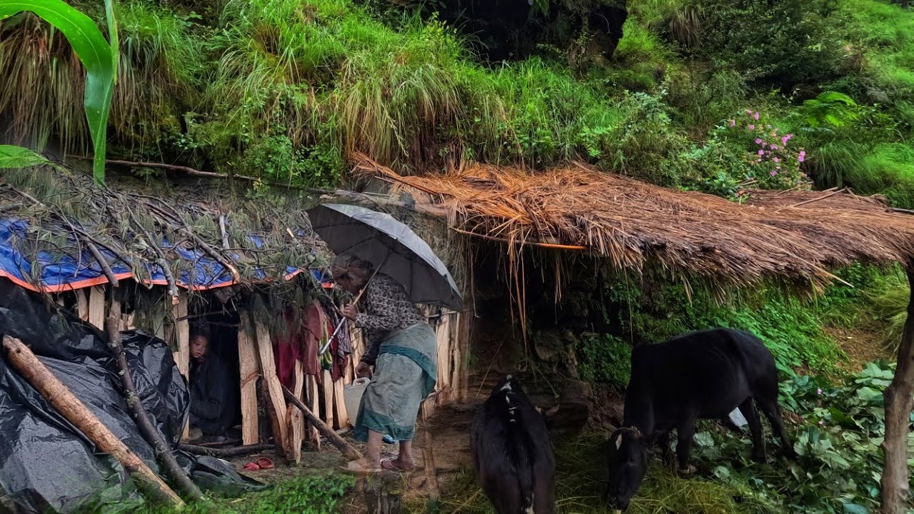 Nepali Mountain Shepherd life during rainy season | Most Beautiful village life in nepal