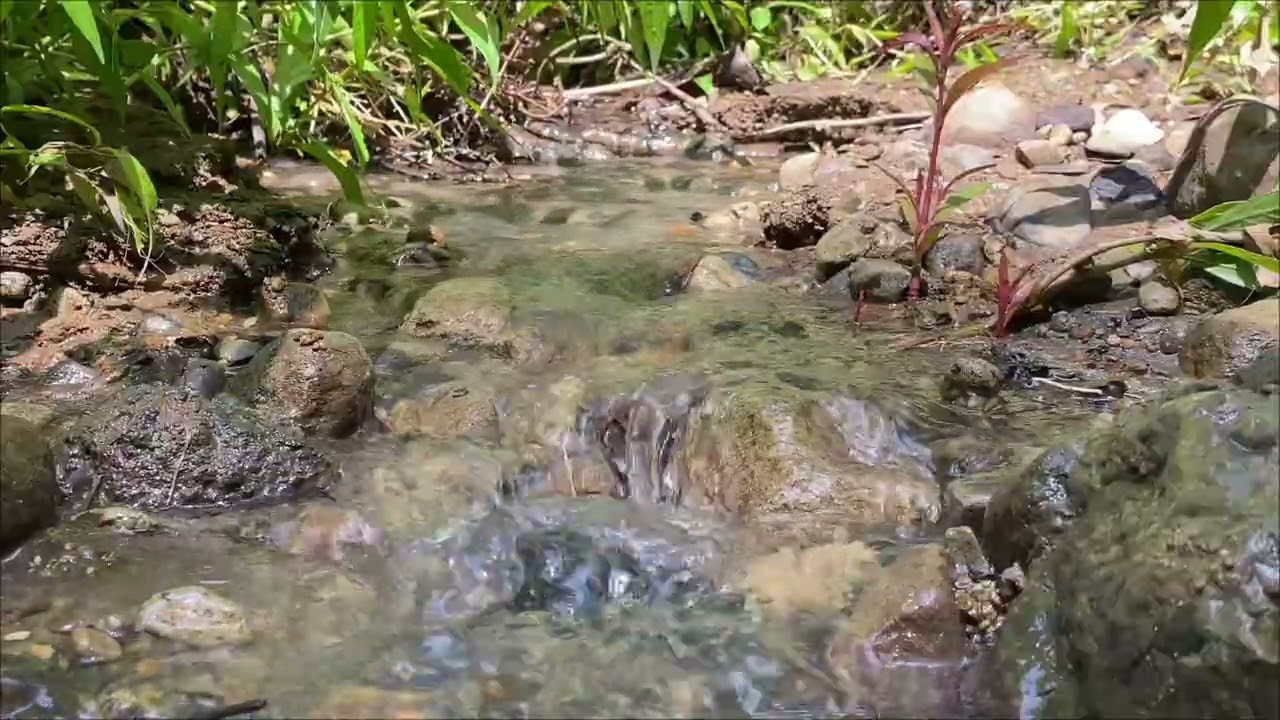 1 Hour of Trickling Water -No Music -      #WaterSounds #Relaxation #CalmWater