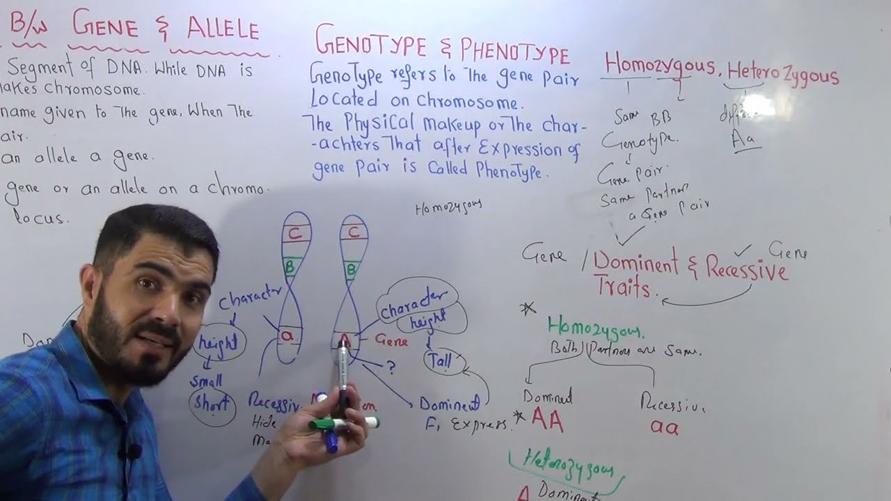 L-6 Dominant  Vs Recessive Trait  and Homozygous Vs Heterozygous Detailed Comparison in Urdu Hindi