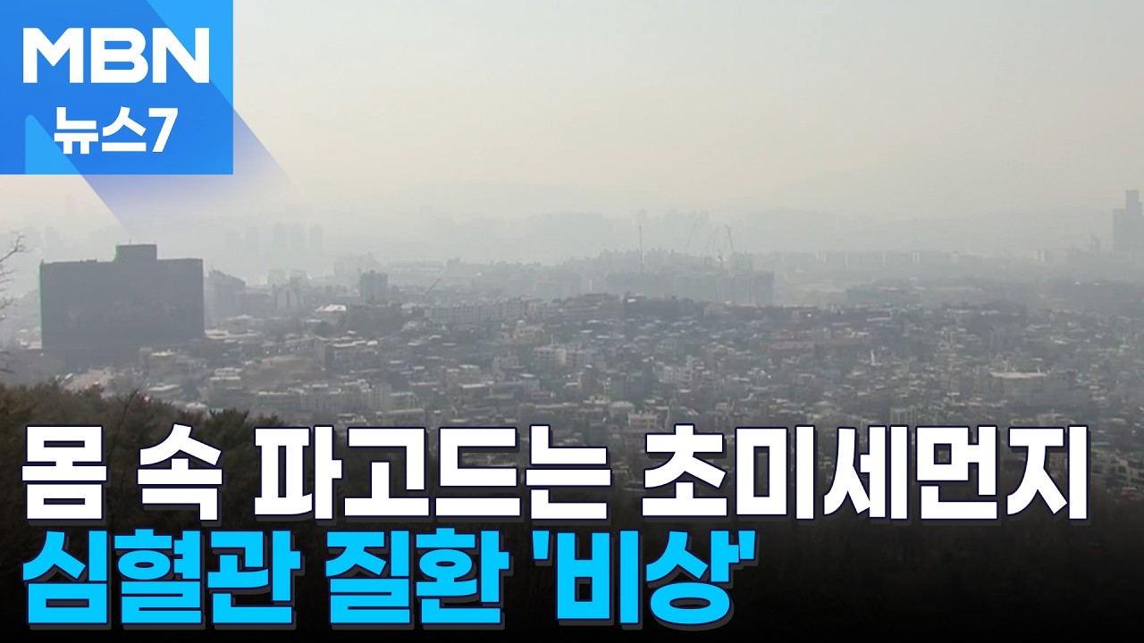 초미세먼지, 사흘에 한 번꼴로 '습격'…심혈관 건강 적신호 비상 [MBN 뉴스7]
