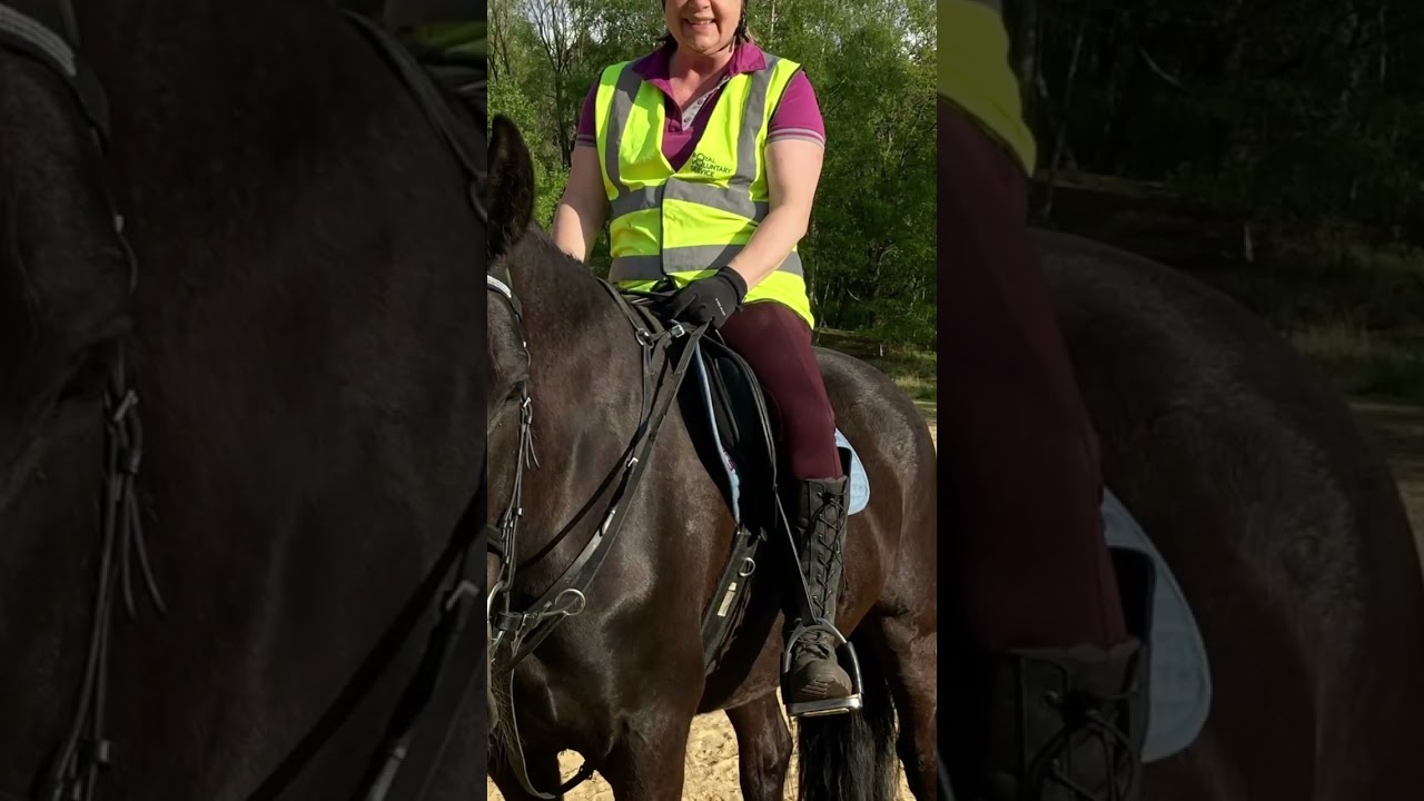 Summer evening canter ! #horses #horseriding #ponies #friesianhorse #funride #happyhacker