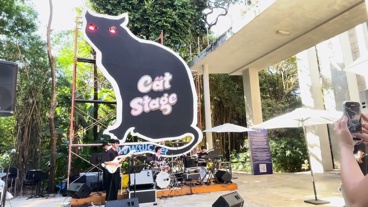 (Misty Lady | Cover ) TIJC2026  Cat Stage 23.01.2026  | CHIANGMAI INCIDENTS
