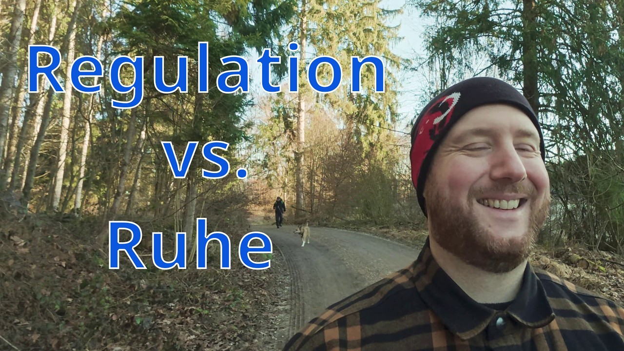 Wie sieht Regulation wirklich aus? - ME/CFS und Long COVID Recovery
