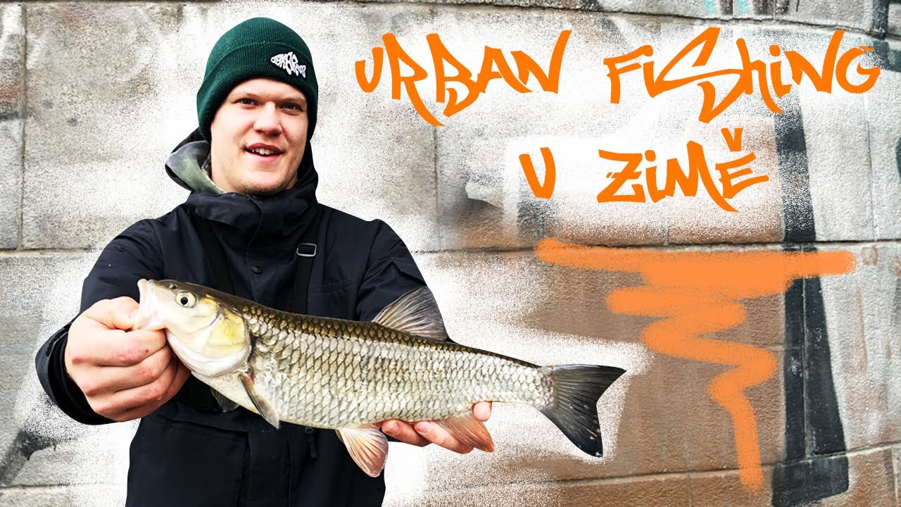 Půlmetroví tloušti z Vltavy | Monster chub fishing