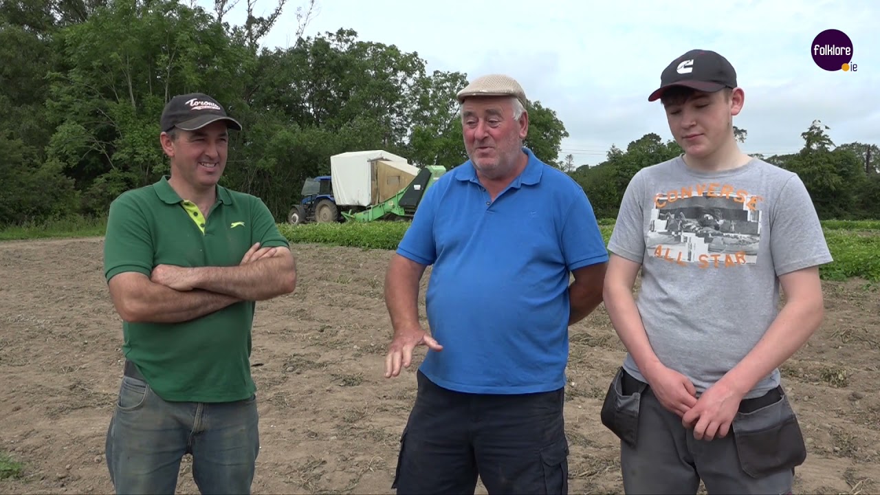 Dates for Sowing and Digging Potatoes - Accounts from Blackwater, Co. Wexford