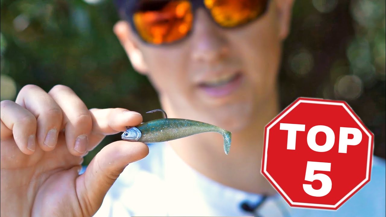 TOP 5 der Sommer Großbarsch-Köder!
