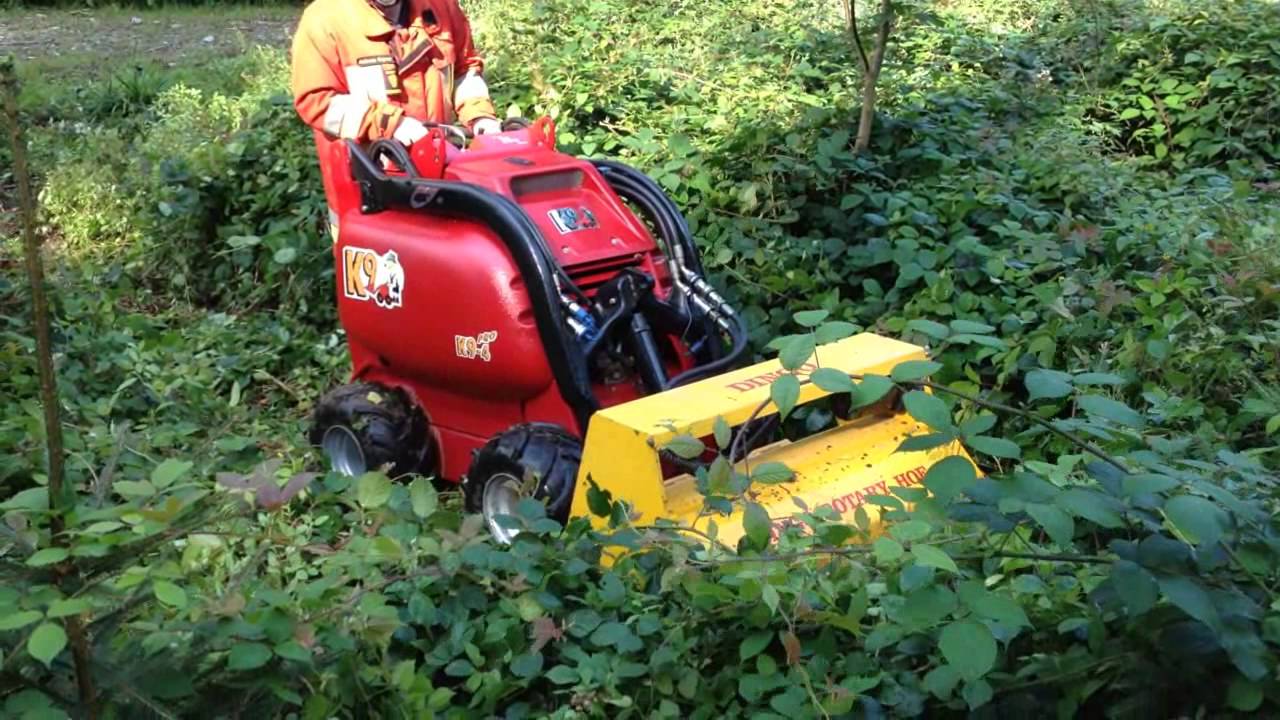 Waldbranddemo mit K9-4