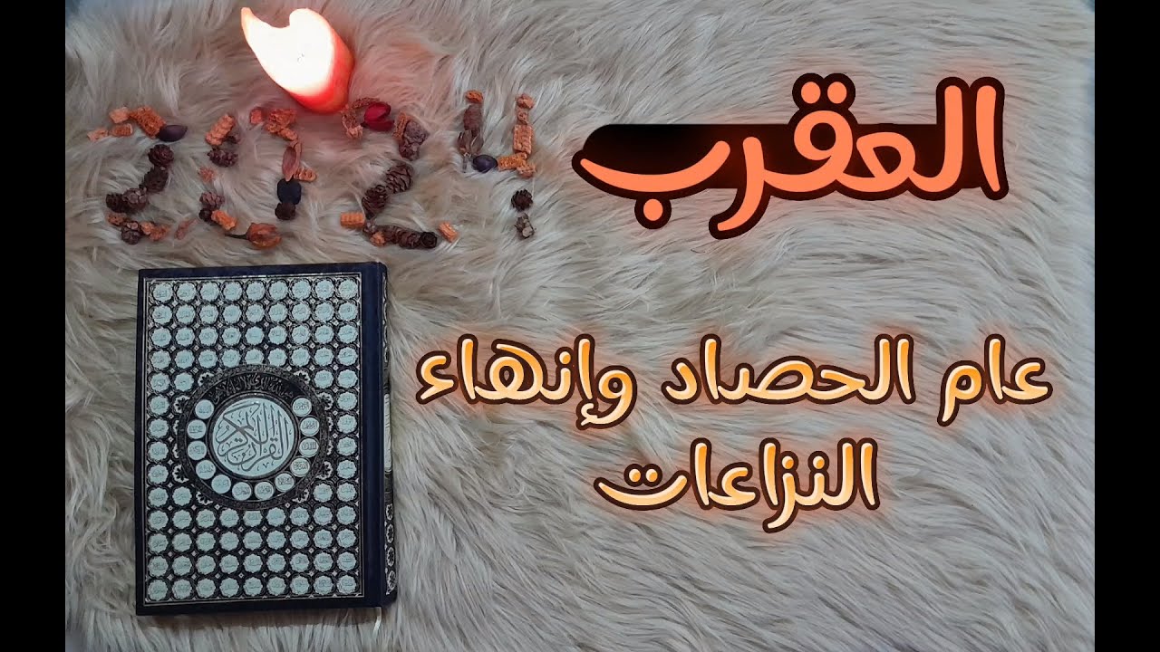 برج العقرب ومايخبأ لك عام 2024 باستخارة تفصيلية بالقرآن الكريم وأهم الأرقام الجالبة للحظ في 2024