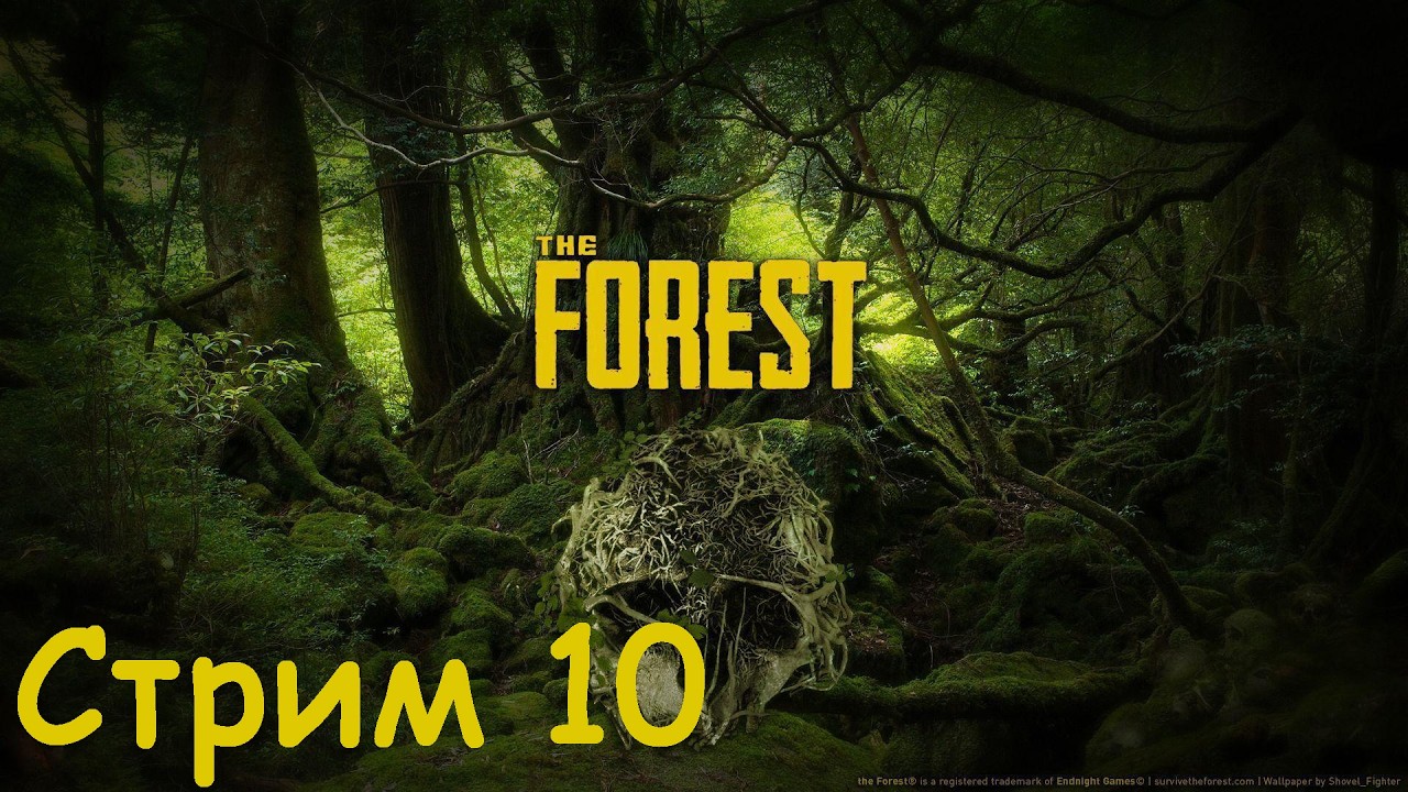 The Forest. Анонсирование новой будки.