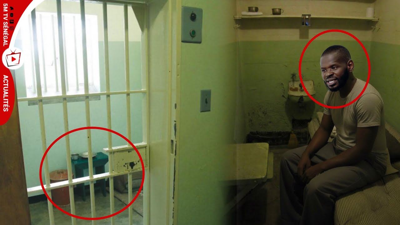 Bonne nouvelle Pape Cheikh Diallo en Prison de Reubess…