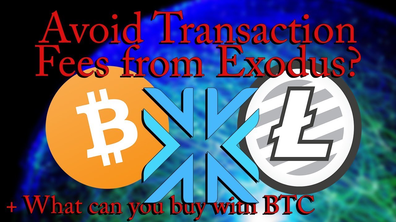 Avoiding High Transaction Fees From Exodus Wallet + What Can You Buy with Bitcoins