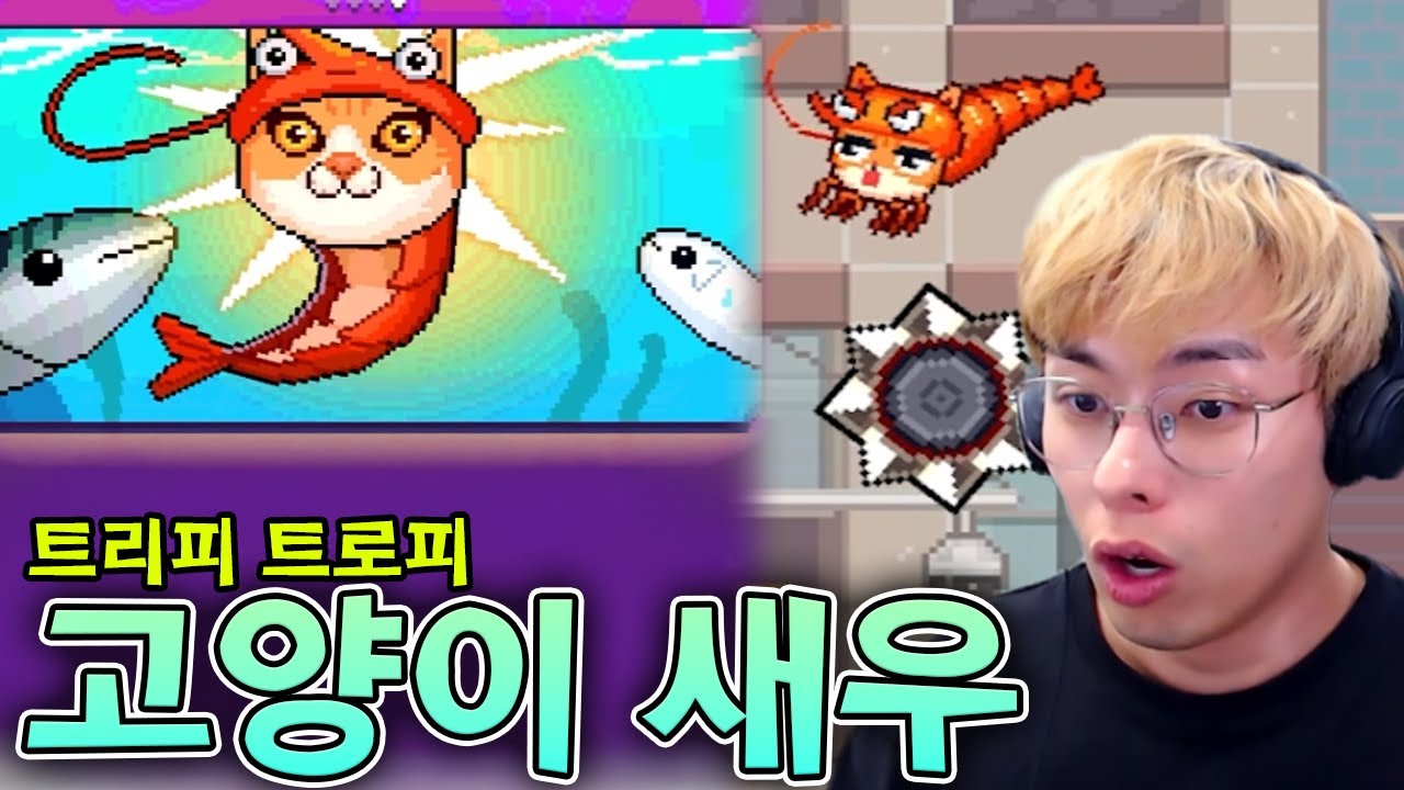 고양이 얼굴에 새우 몸통 ㅋㅋㅋ :: 캣점프