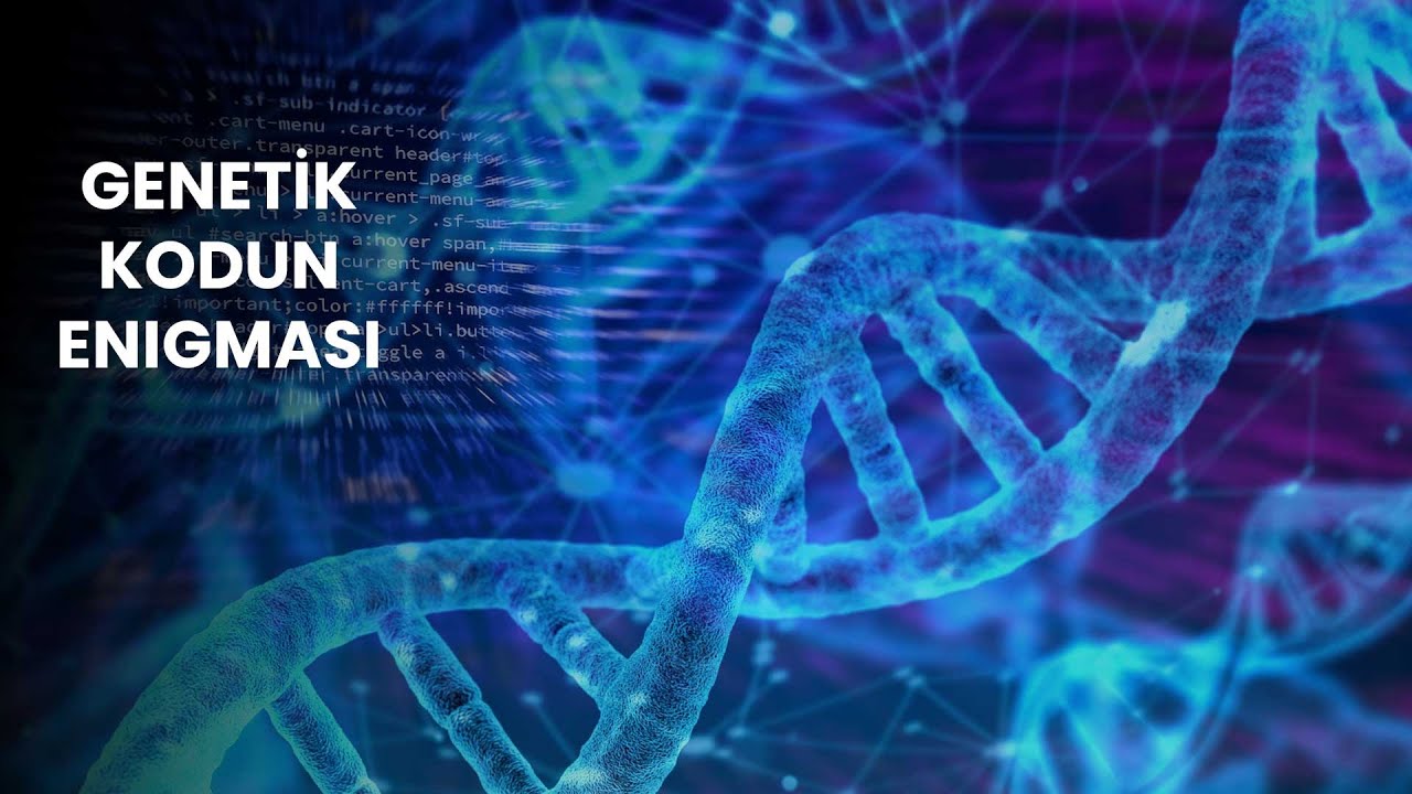 Qəfildən əmələ gəlmə? | Kembri Partlayışı | Genetik İnformasiyanın Enigma'sı