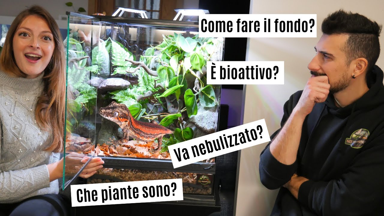Vi presentiamo il MIO NUOVO TERRARIO per il geco! 🦎