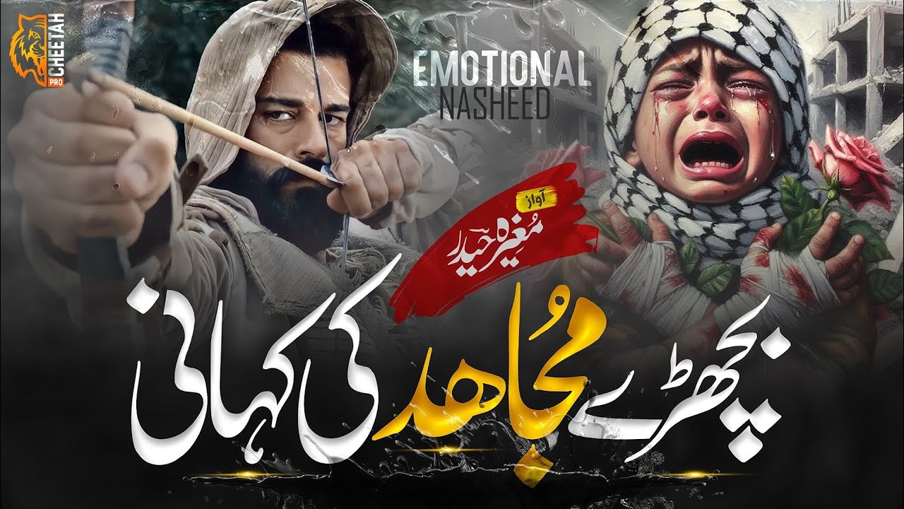 Super Hit Nasheed - Bichray Mujahid Ki Kahani - Mugheera Haider - Cheetah Production - Tarana