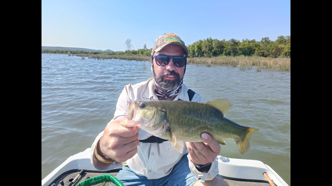 Bass Fishing at Koster Dam