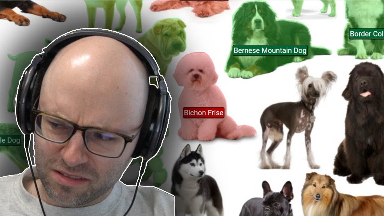 I don't know dogs... (Sporcle)