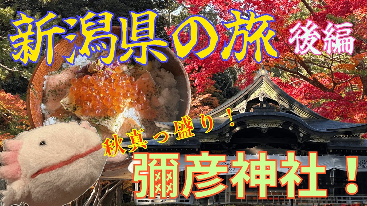 新潟県の旅　後編「秋真っ盛り！彌彦神社！」