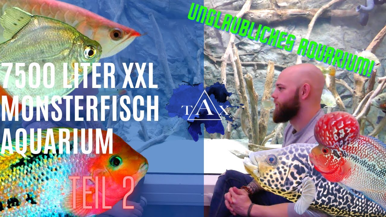 7500 Liter XXL Monsterfisch Aquarium I TEIL 2 I TAX