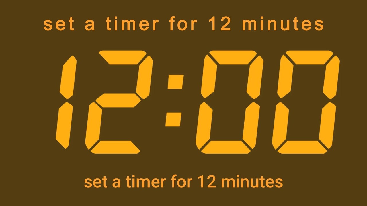 set a timer for 12 minutes