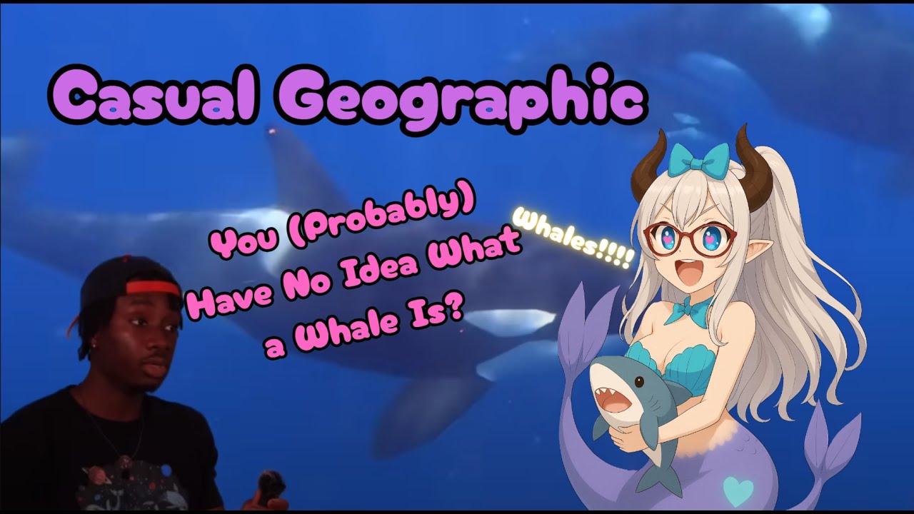 React to Casual Geographic: You probably have no idea what a whale is?