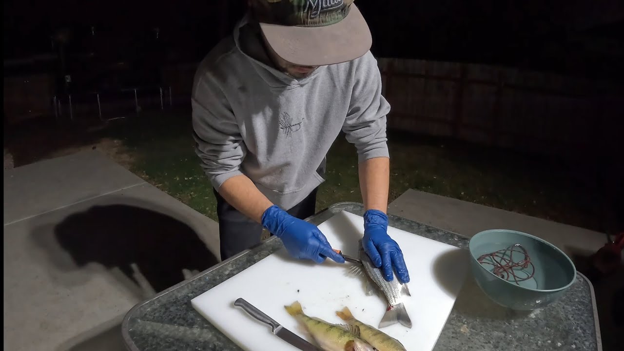 Catching and filleting our dinner!!