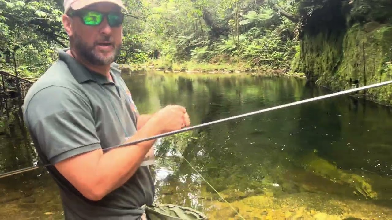 Pesqueiro de lambari No litoral do Paraná