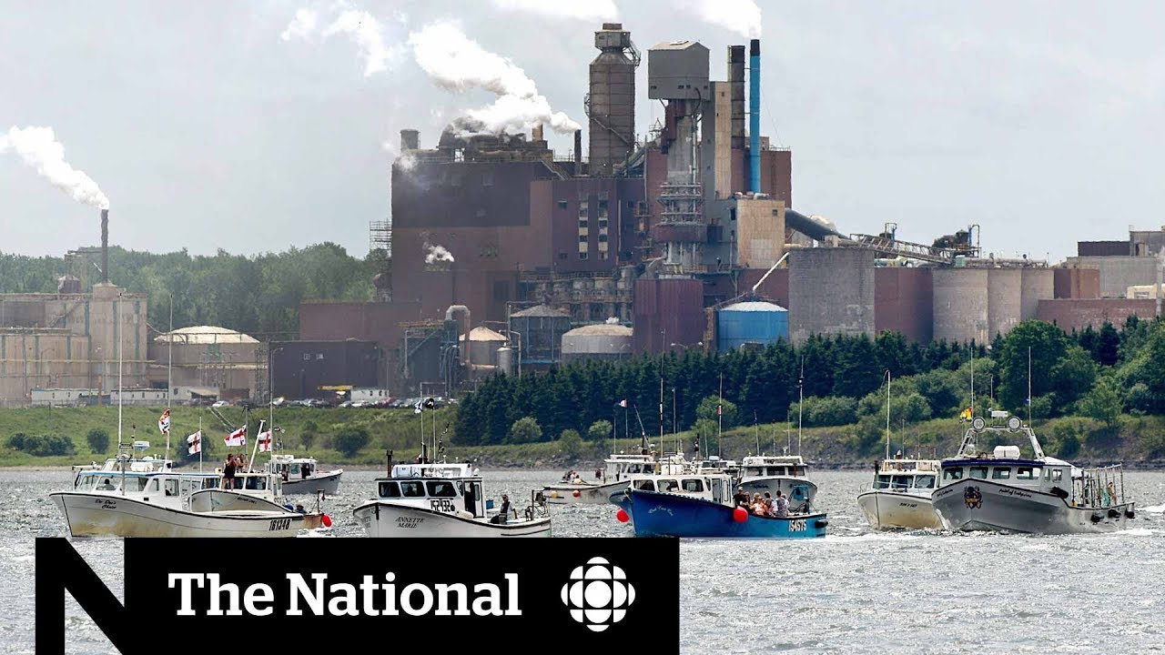 N.S. pulp mill decision pits industry against environment
