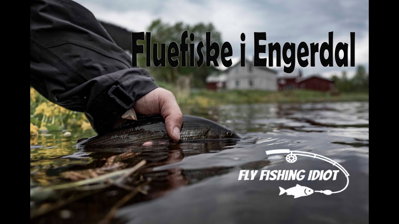 Fluefiske i Engerdal