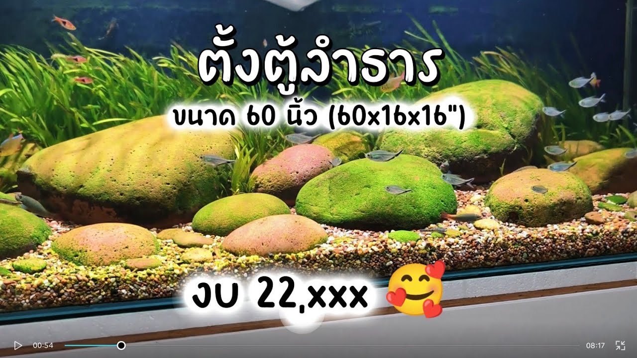 ตั้งตู้ลำธาร 60 นิ้ว งบประมาณ 22k #ตั้งตู้ลำธาร #ตู้ลำธาร #ตู้ปลา #ตู้ไม้น้ำ #marangmodaquaticplant