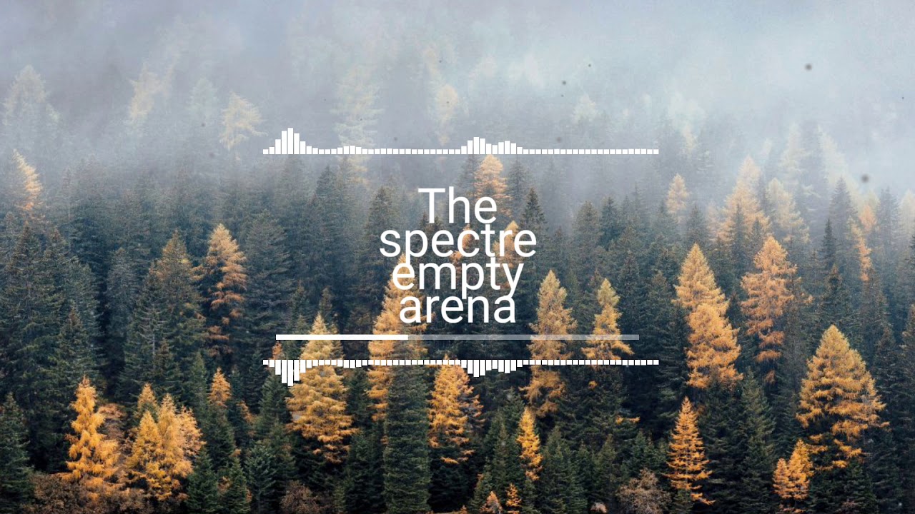 Alan walker-The spectre empty arena