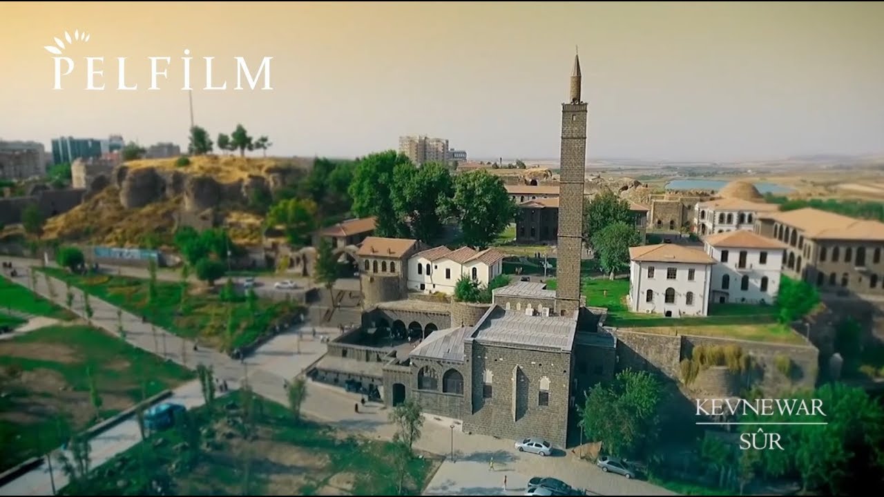 KEVNEWAR  - AMED / S&Ucirc;R