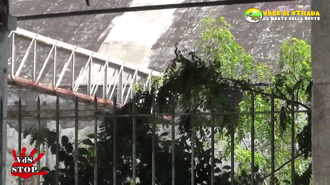 Voce di Strada - VdS Stop - Capaccio, l'ex Cirio dimenticata, tra degrado e rifiuti