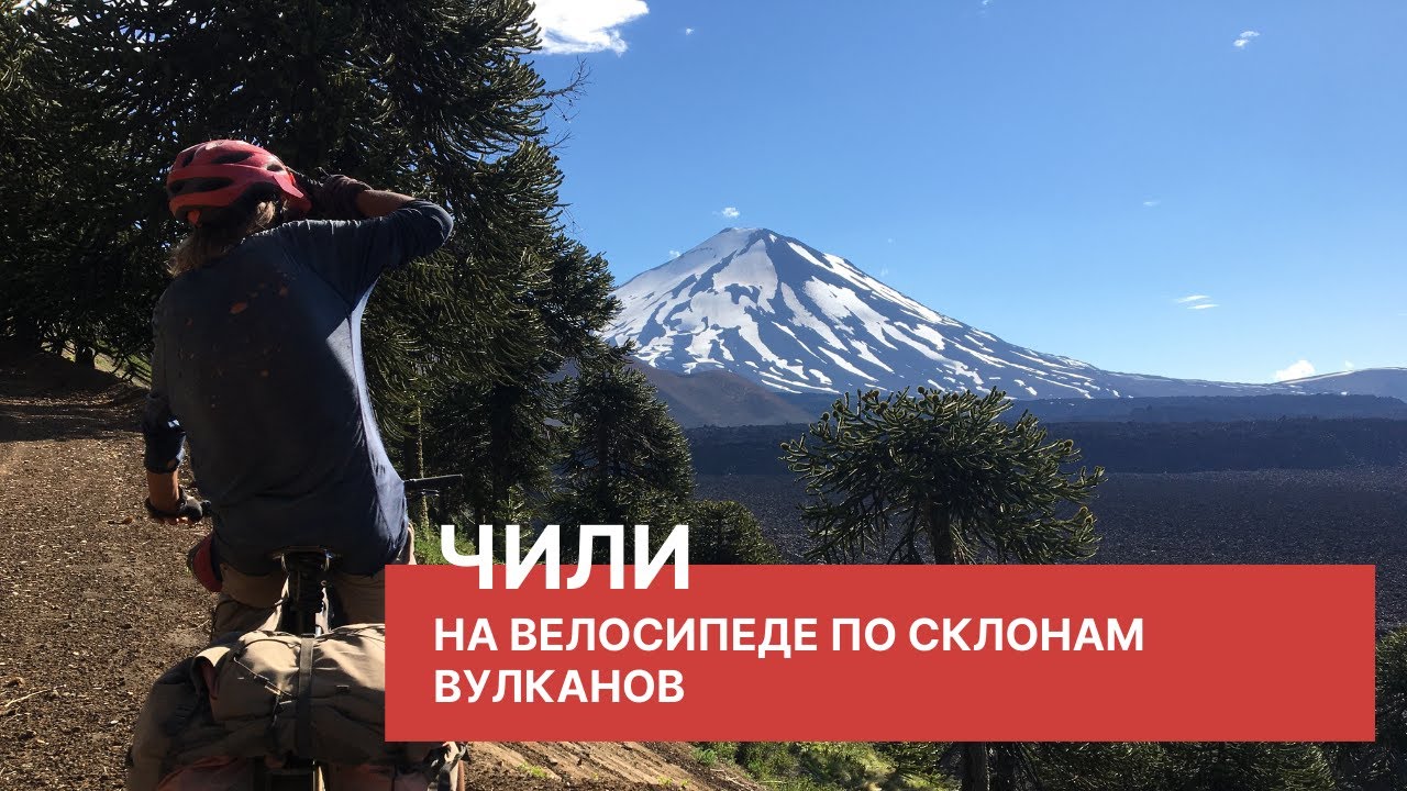 Чили. Самые красивые деревья в мире.  Дорога между вулканов | Велопутешествие по Южной Америке №8