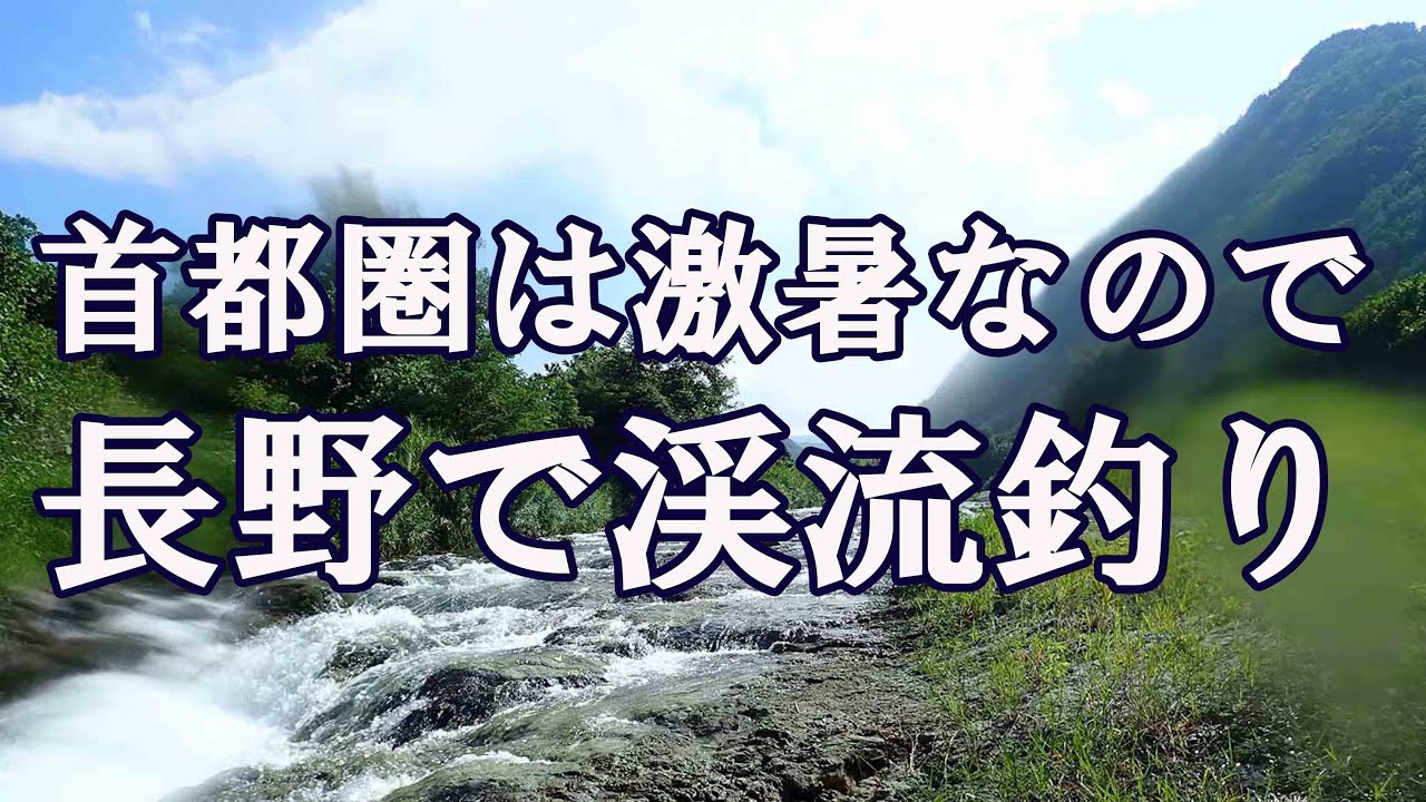 【釣り】首都圏の日帰り渓流釣り場ガイド！　涼しさを求めて長野に！【鹿曲川＆依田川】