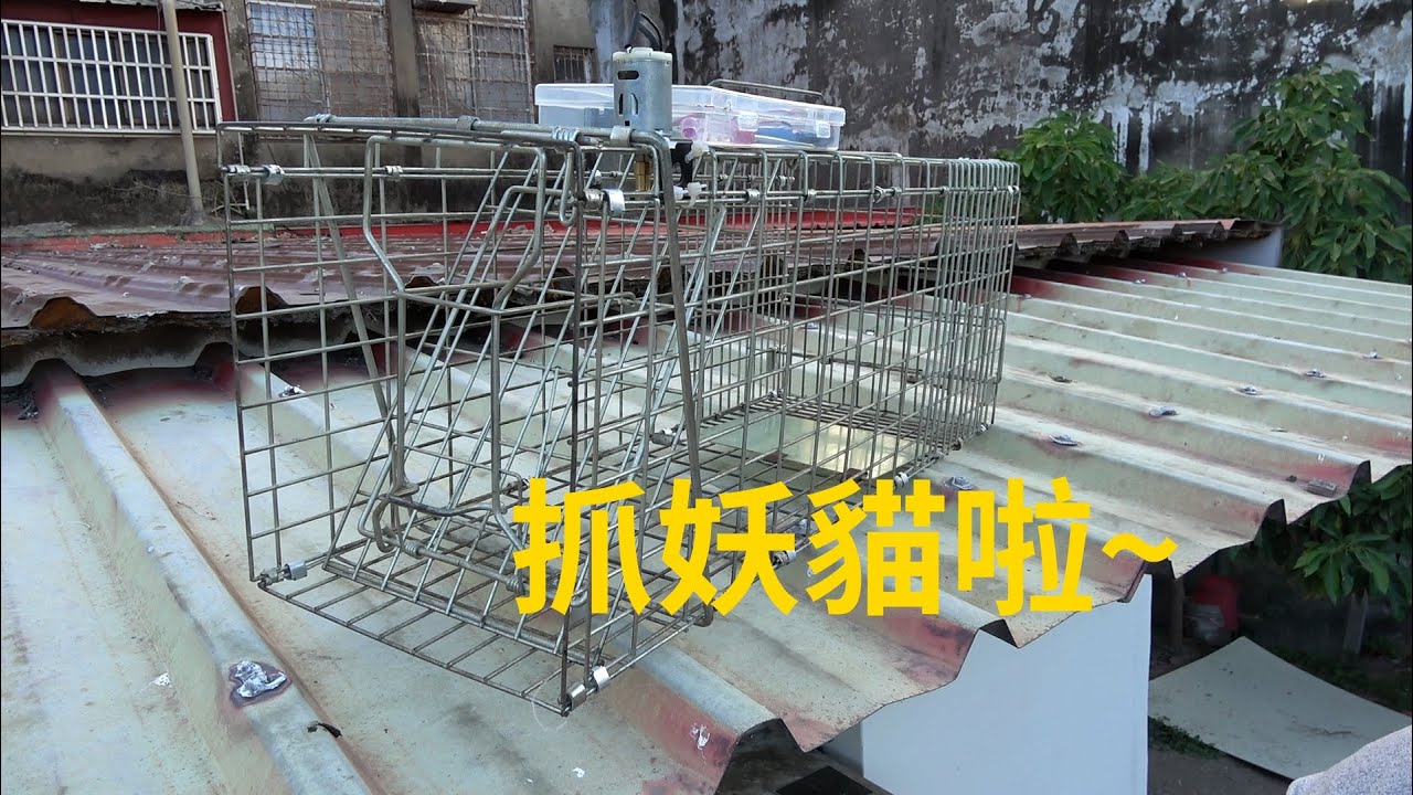出動遙控誘捕籠抓紮 日郡TNR遙控誘捕籠測試版【貓總裁&日郡】