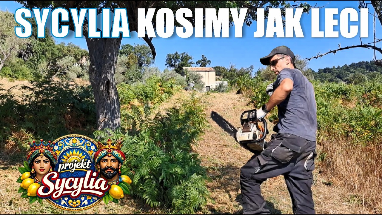 Skosiliśmy działkę.... czy straciła sw&oacute;j urok???