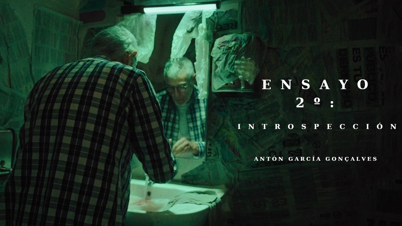 Ensayo 2º: Introspección