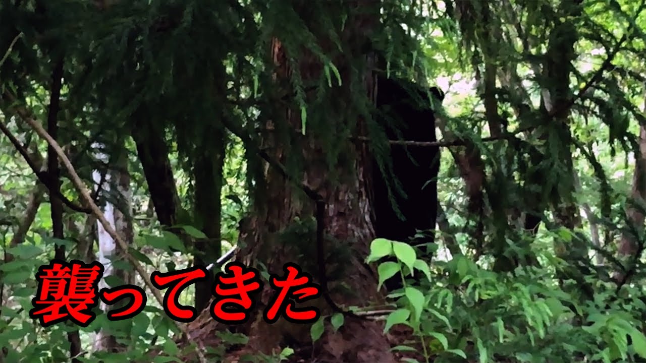 【パニック】渓流釣りで熊が襲ってきた　命懸けの逃走