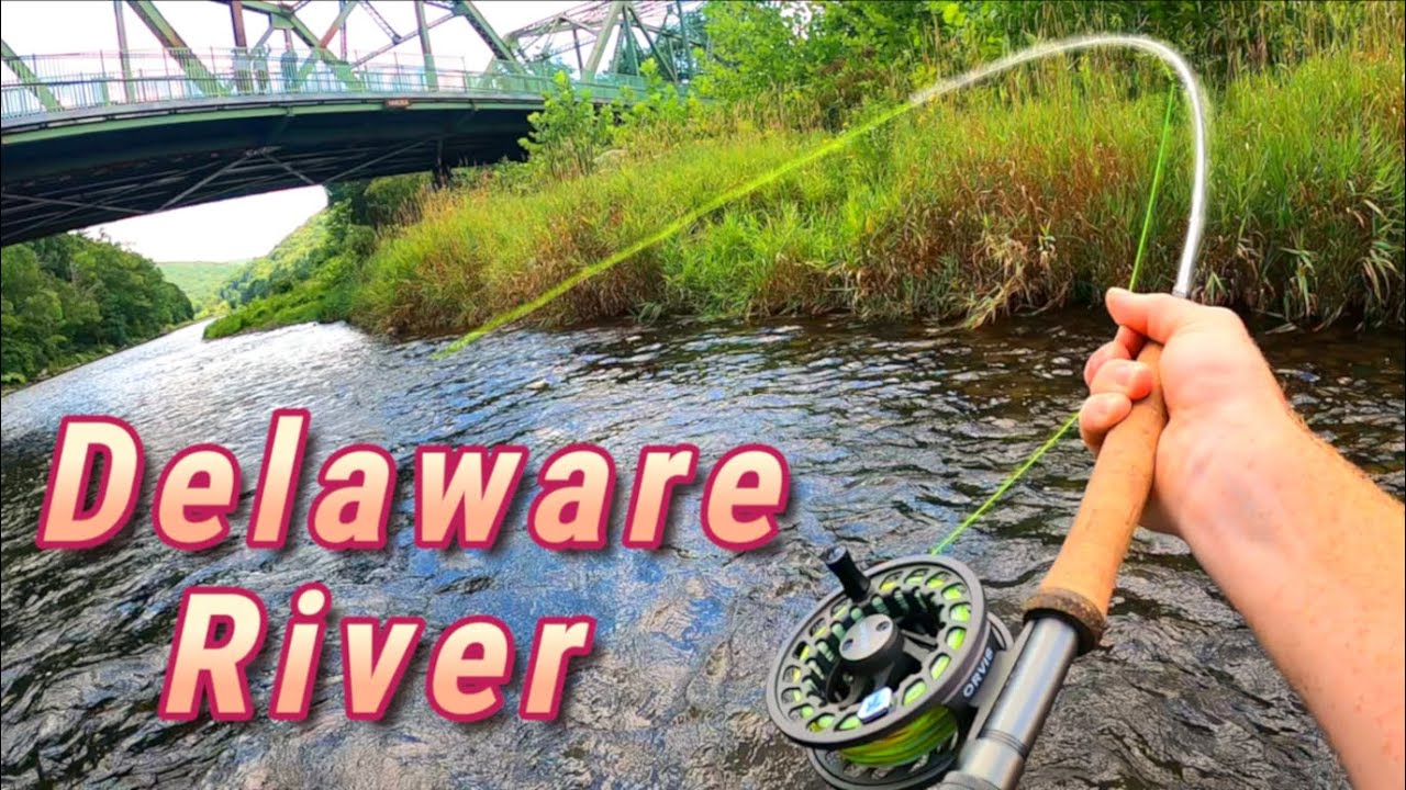 Fly Fishing The DELAWARE River (Big Trout) | Ft. PA Woods N Water