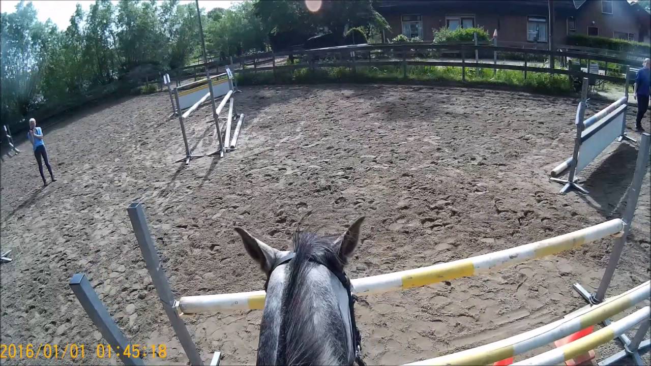 Oefenspringen Stal Eikelboom mei 2016
