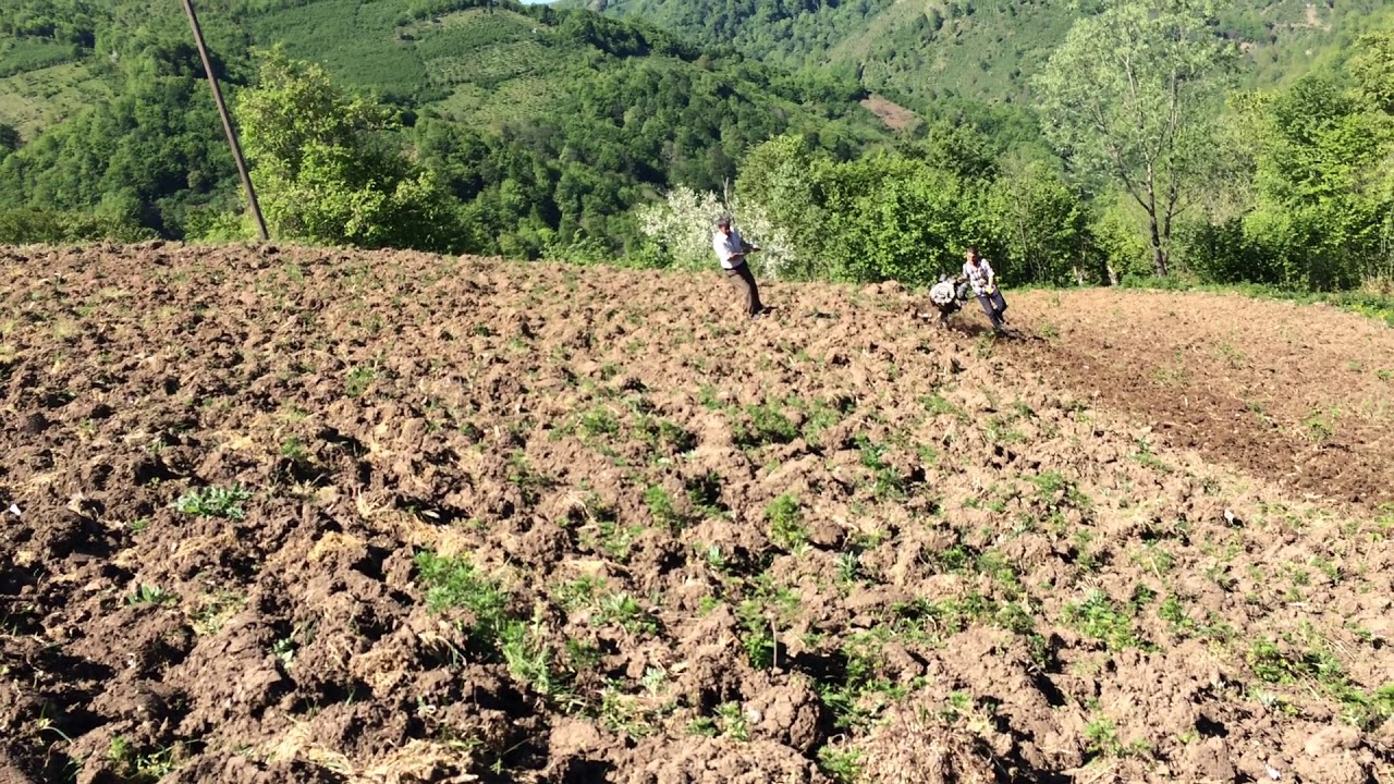Yağmur Yet 510 Pat Pat Eğimli Arazide Zor Tarla Sürme (Çapa Makinesi)