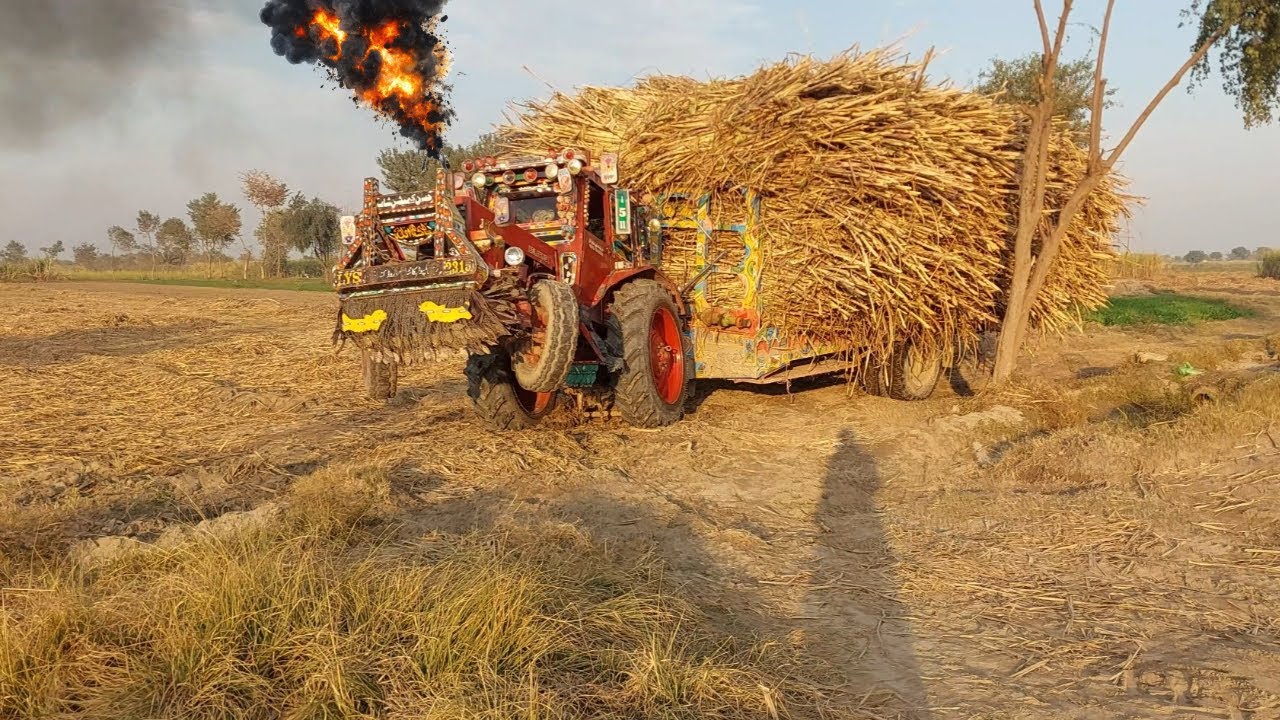 Tractor trolley full video | Belarus 510 tractor new video