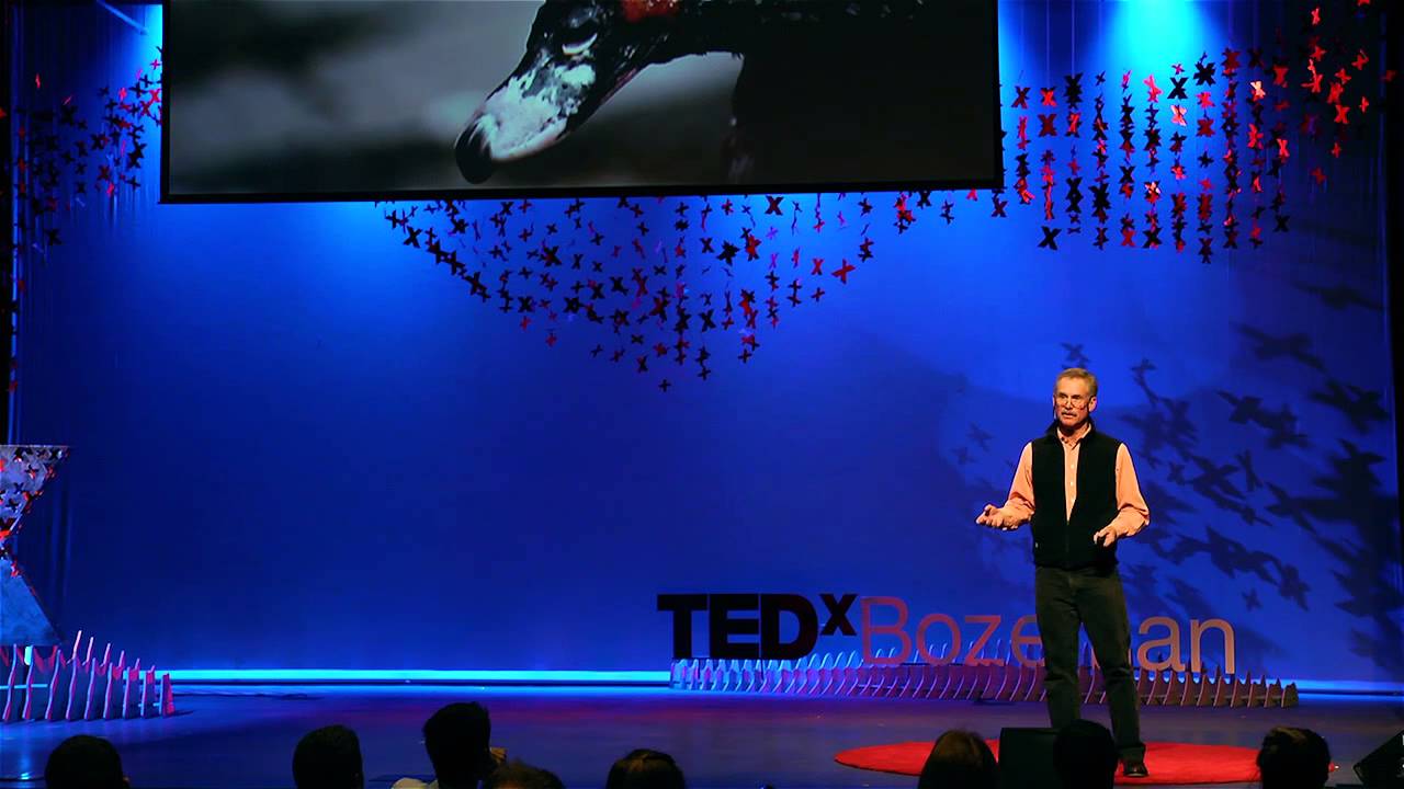 Every new pandemic starts as a mystery | David Quammen | TEDxBozeman