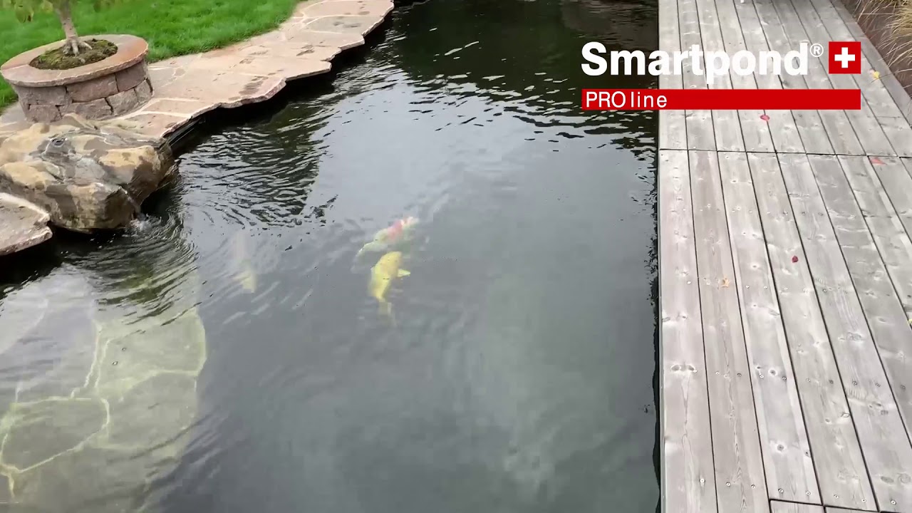 Smartpond PROline by 45000 Liter Koiteich in der Schweiz 🇨🇭